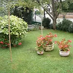 Katja Apartman *